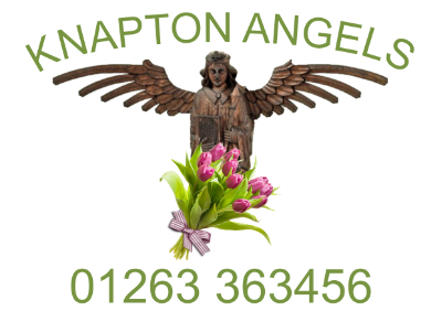 Knapton Angels logo