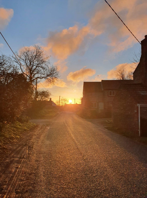 The Street at dusk in May, photo