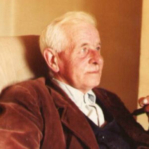 John Henry Wild image