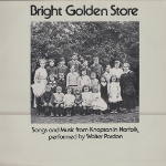Bright Golden Store - Album Cover image