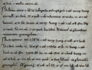 Kanapatone Domesday Book entry